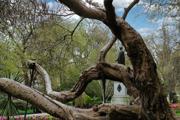 Through Nature's Lens: The Entwined Legacy of Henry Bartle Frere